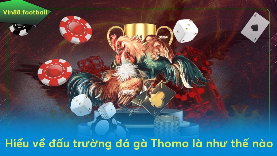 Hiểu về đấu trường đá gà Thomo là như thế nào