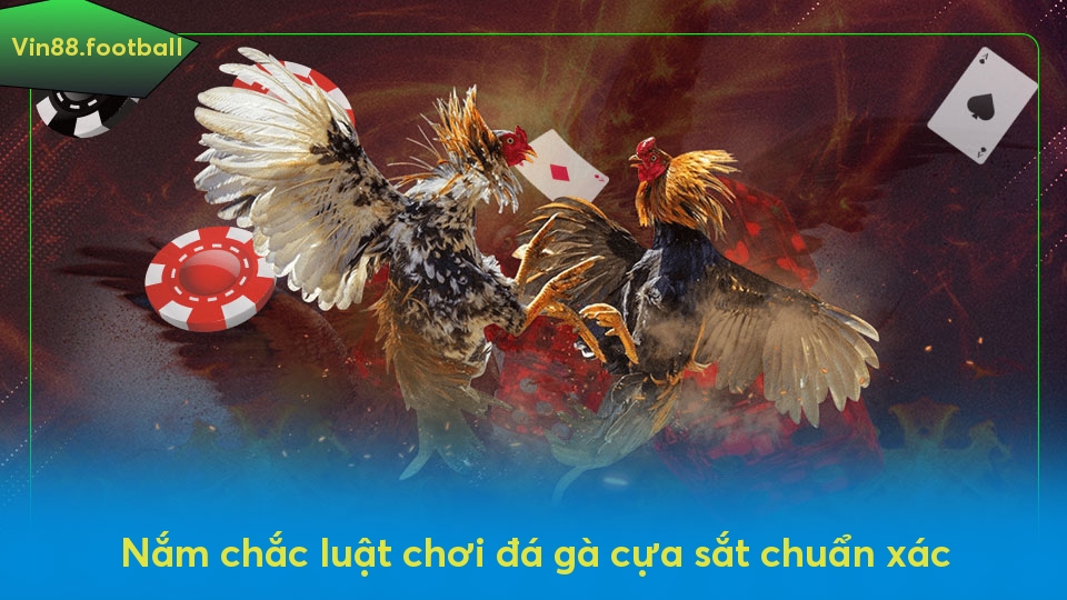 Nắm chắc luật chơi đá gà cựa sắt chuẩn xác