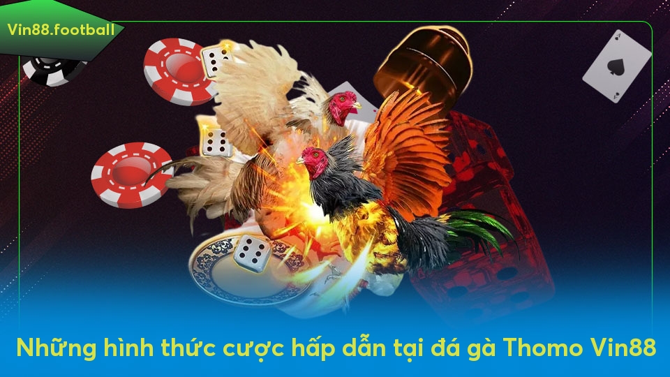 Những hình thức cược hấp dẫn tại đá gà Thomo Vin88